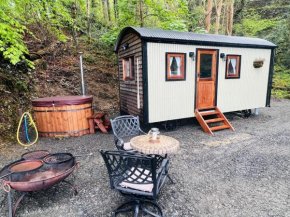 Cozy Cabin with Hot Tub in heart of Snowdonia